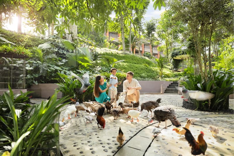 Meet Friendly Animals at the Animal Garden