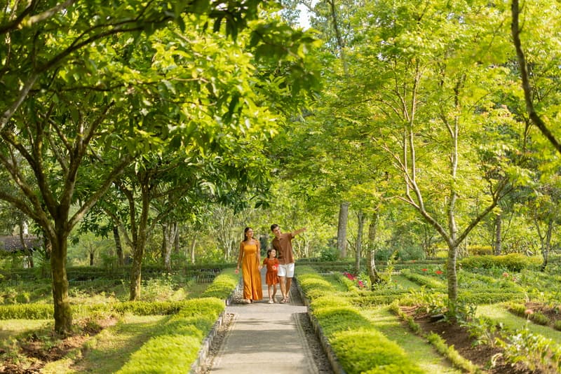 Discover Nature Through Agroforestry Experiences