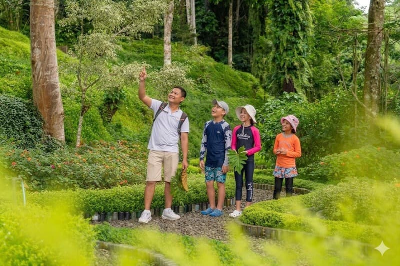 Specially Curated Activities for Junior Explorers