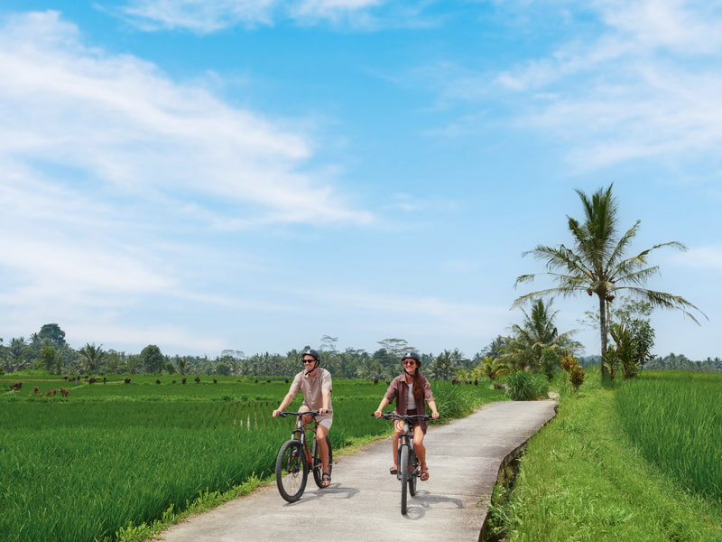 Cycling Activity around the Resort