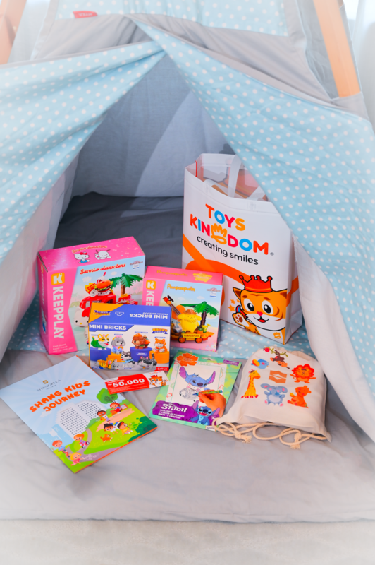 Toys Kingdom Package